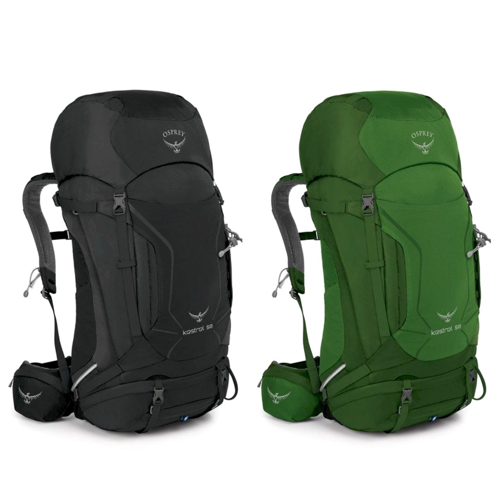 Osprey kestrel 48 outlet jungle green