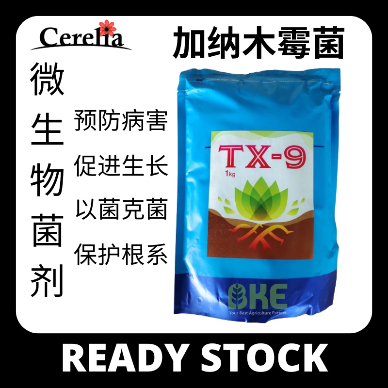 TX - 9 Trichoderma Ghanense (加纳木霉菌) 1KG | Shopee Malaysia