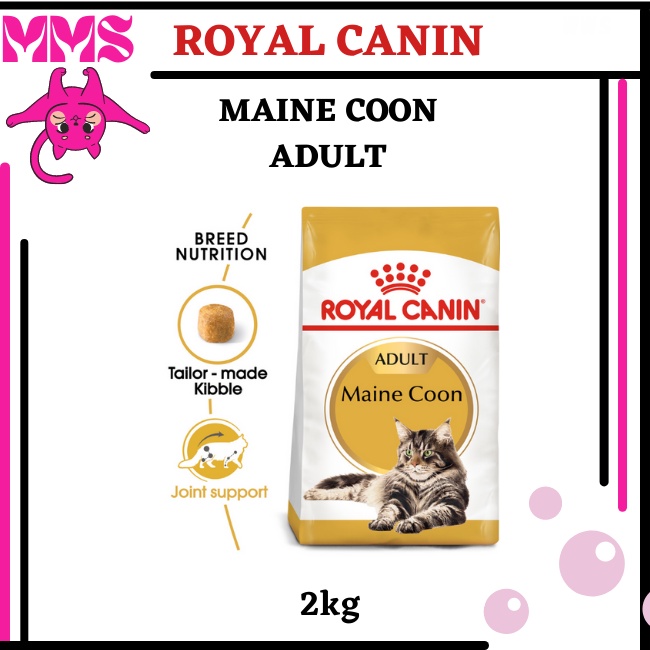 Royal Canin Maine Coon Adult Feline Breed Nutrition Dry Cat Food