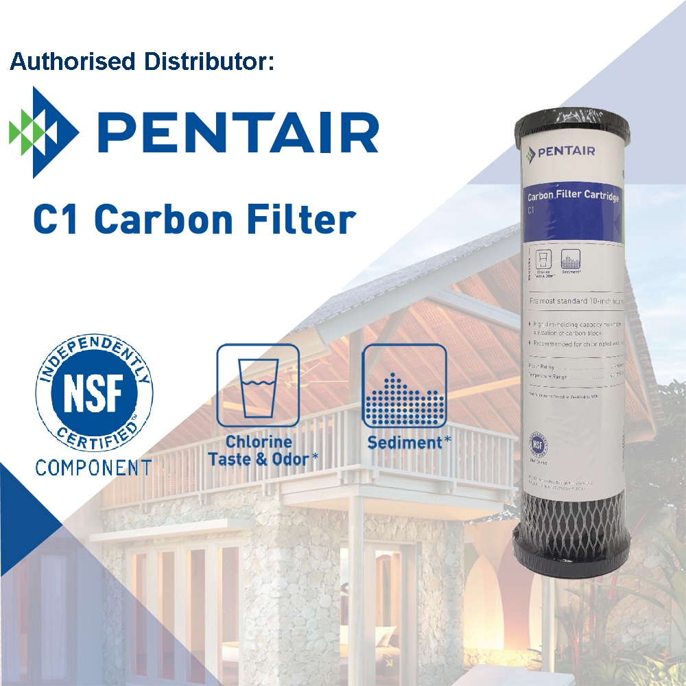 PENTAIR PENTEK 155002-43WP C1 10inch Carbon Filter Cartridge for Slim ...