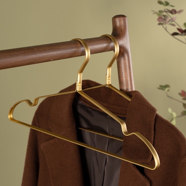 （1 Pcs）Modern Light Luxury Clothes Hanger/Aluminum Alloy Hanger/high