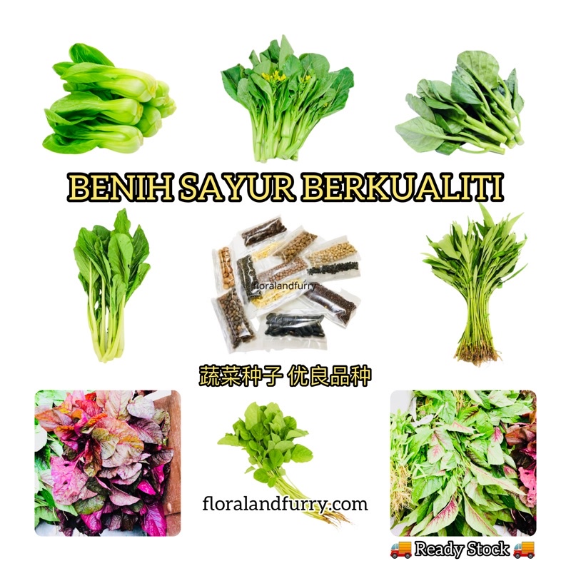 Leafy Vegetable Seed Repackage Biji Benih Sayur Kangkung Bayam Separuh