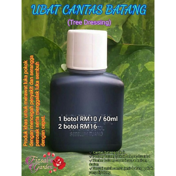 UBAT CANTAS BATANG Tree Dressing batang dahan ranting ros tin , ubi