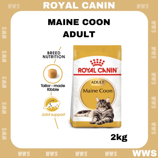 🤩Royal Canin Maine Coon Adult Feline Breed Nutrition Dry Cat Food