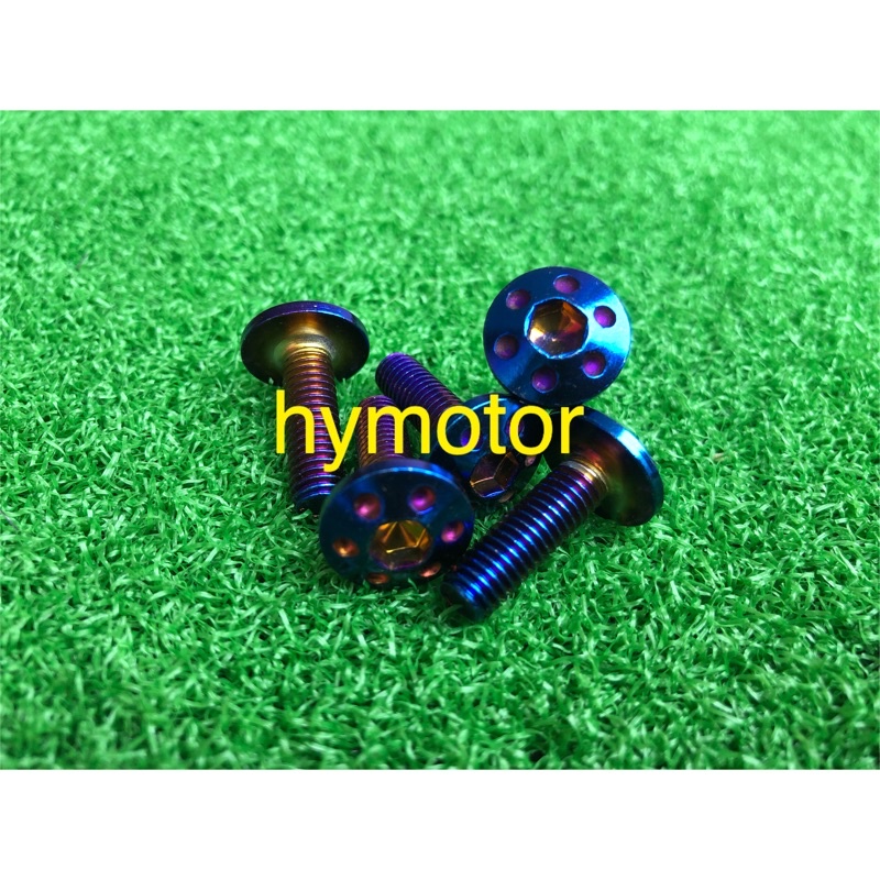 🇲🇾M6*20 Titanium Gold Screw 1BIJI Skru Ekor Mudguard Fender