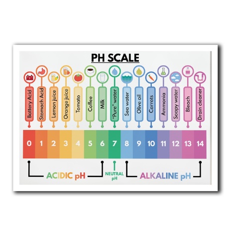 Unframed Printed PH SCALE Educational Science Math Rainbow Chemistry ...