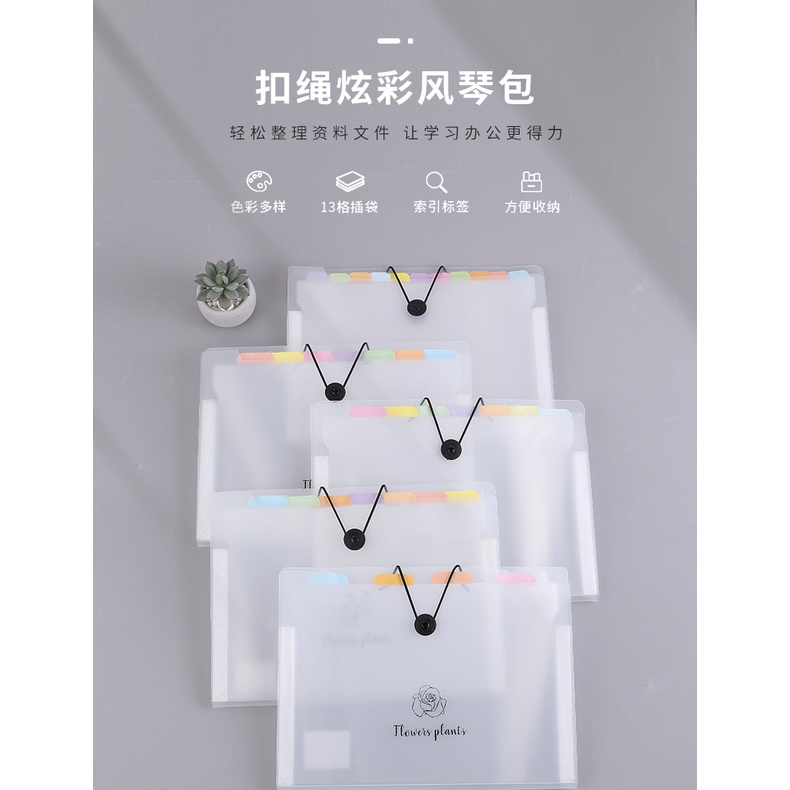 5/8/12 Pocket File A4 Expanding File Multipurpose School Tuition Office ...