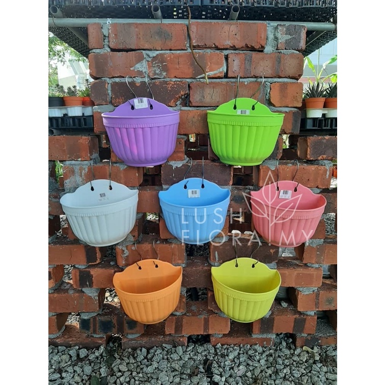 LushFloraMy - Wall Mounted Colorful Pot (with stopper) | Shopee Malaysia