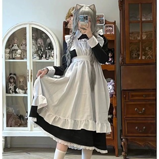 Women's 2024 Maid Outfit Dress Anime Maid Costume Cosplay Lolita Fancy  Dress Hooded Maid Dress Costume French Maid