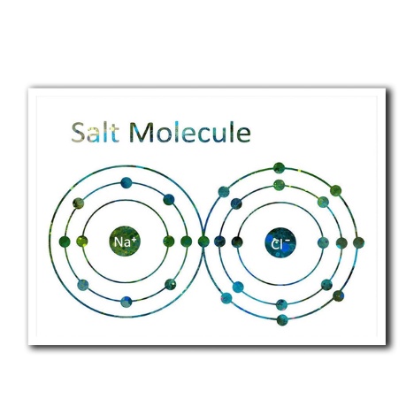 Unframed Printed Salt Molecule Chemical Chemistry Element Na+Cl- H2O ...