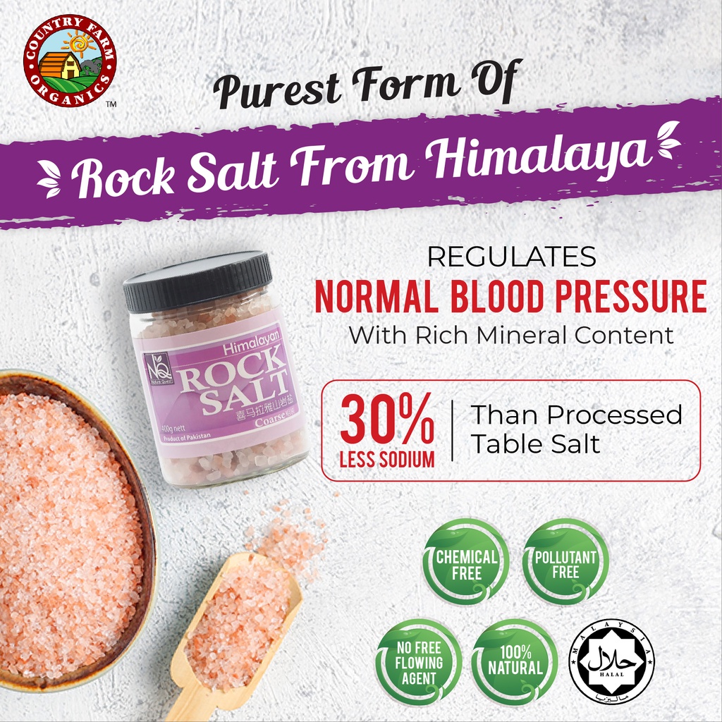 Nature Quest Himalayan Rock Salt Coarse Grain 400g [Pakistan Import ...