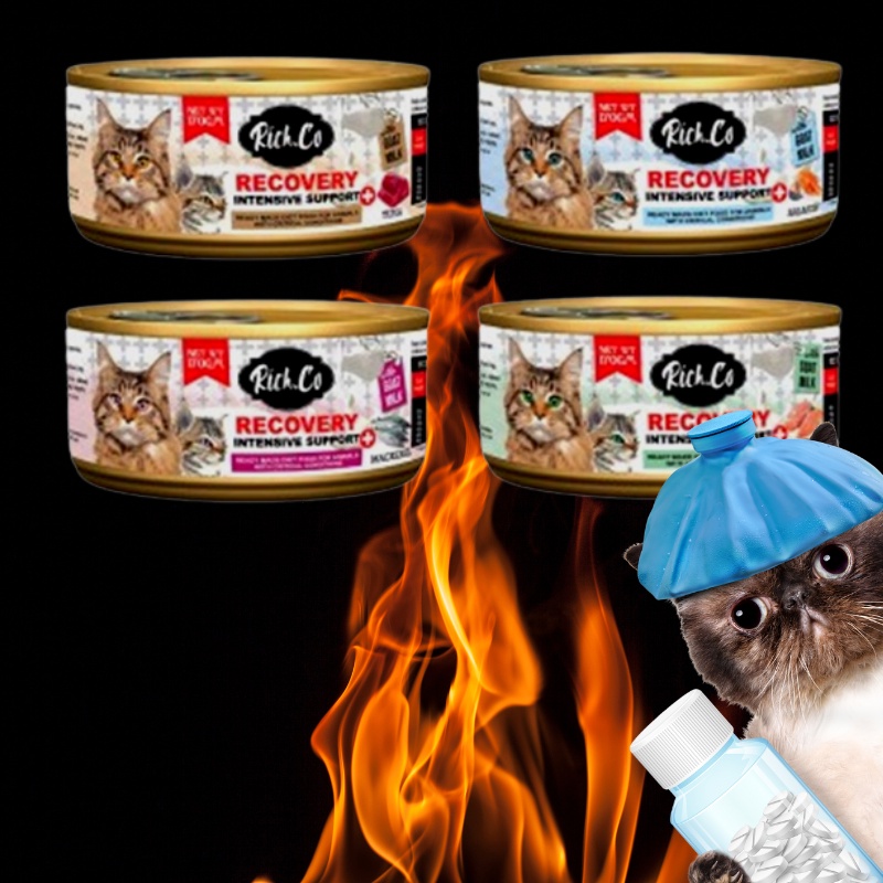 RICH.CO RECOVERY INTENSIVE SUPPORT 170G - WITH GOAT MILK CAT CANNED ...