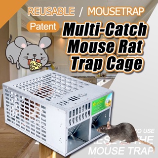 1/2/4 Pack Reusable Mouse Trap Rat Catcher Cage Mechanism Pedal