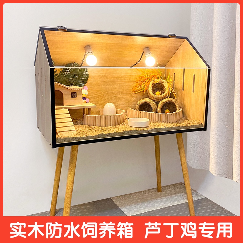Gallery image with a fresh perspective