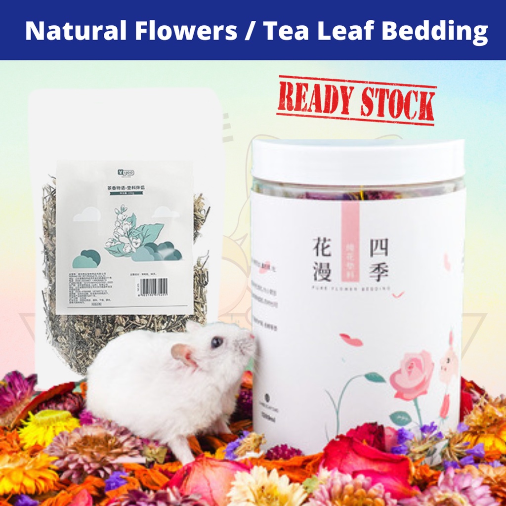 Hamster Natural Dry Flower / Tea Leaf Bedding Bunga Kering / Daun Teh