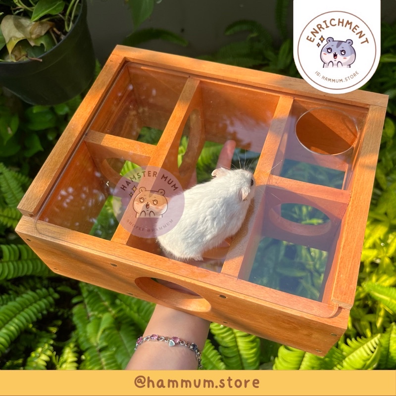 Picture of Acrylic Maze Hamster | Hamster Tunnel | Hamster Toy Hideout | Hamster ...