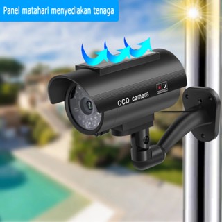 fake outdoor video surveillance camera