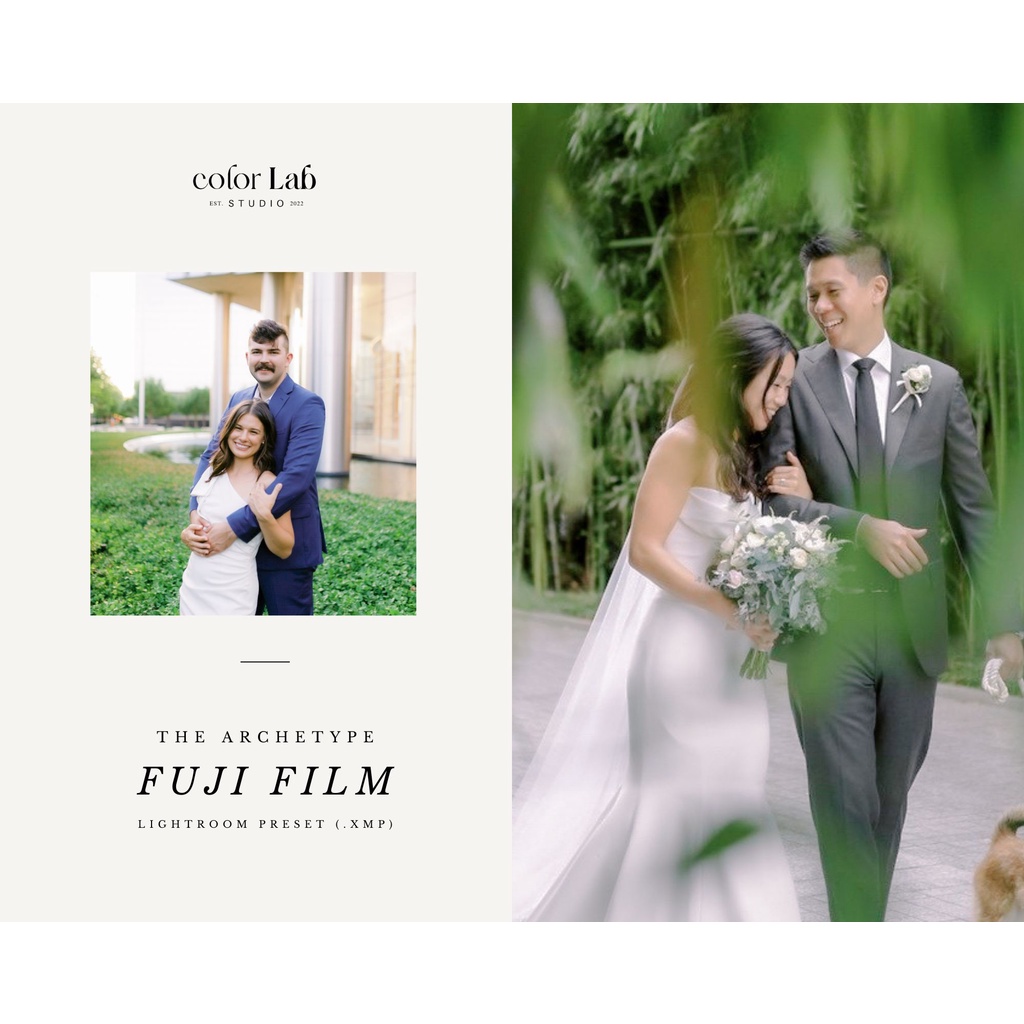 [PC ONLY] The Archetype Process Fuji Film Pro Profiles adobe