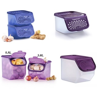 Tupperware Garlic N All Keeper 2.3L