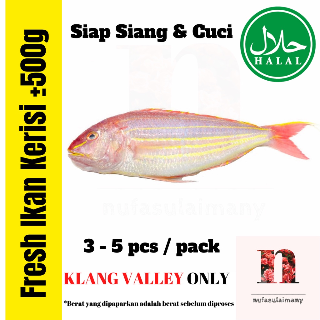 Ikan Kerisi Segar Fresh Threadfin Bream 500g [Klang Valley Only] Berat ...