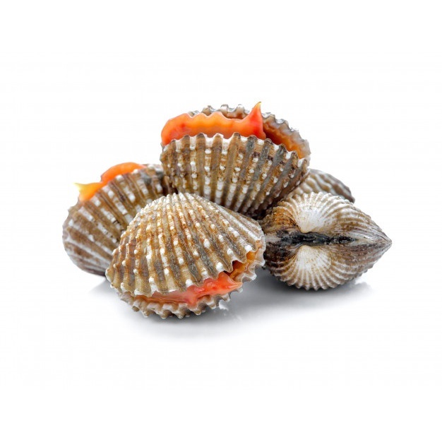 [Fresh] Kerang (1 kilogram) | Shopee Malaysia