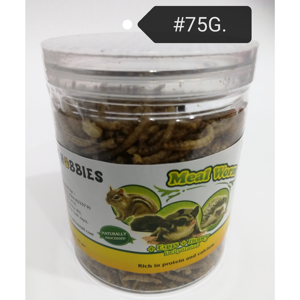 JY Hobbies Dry Meal Worm Sugar Glider Hamster Hedgehog Food Treats 75g