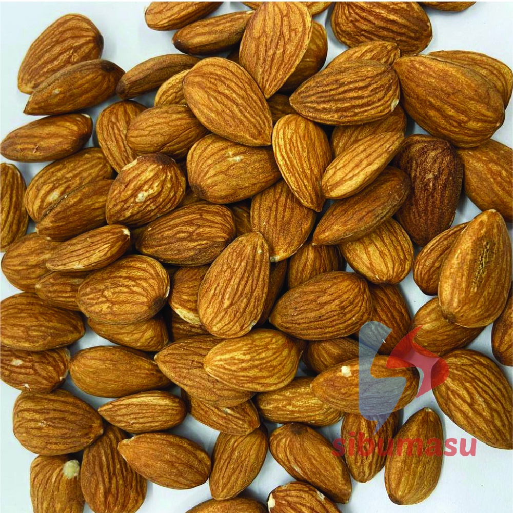 100gram Raw Unsalted Whole Almond Small Non Roasted Nut Wholeshelled ...
