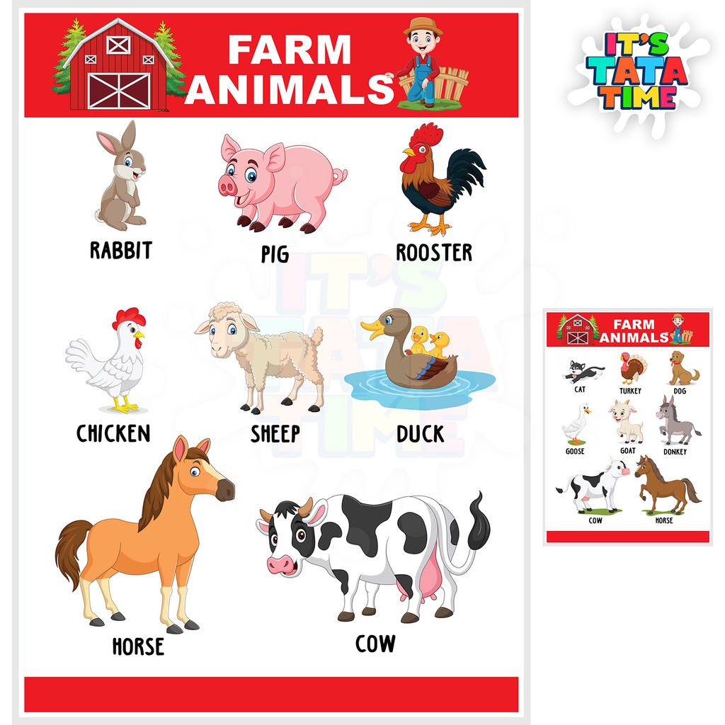 Farm Animals Educational Chart for Children - A4 Laminated Glossy ...