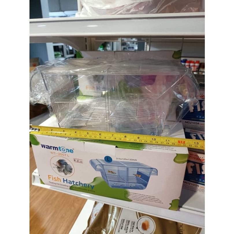 Breeding Box for Guppy/Betta Fish (Double partition), L-size 315mm in ...