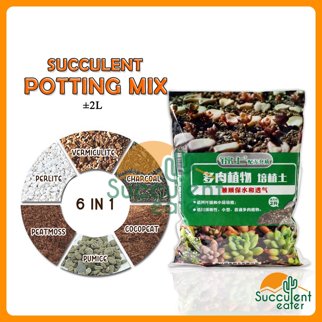 2L Cactus Succulent Potting Mix Plant Soil Stone Tanah Baja Gardening ...