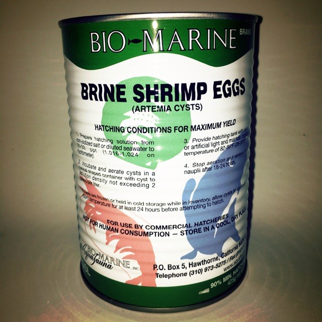 Bio Marine Brine Shrimp Eggs (Artemia Cysts) Shopee Malaysia