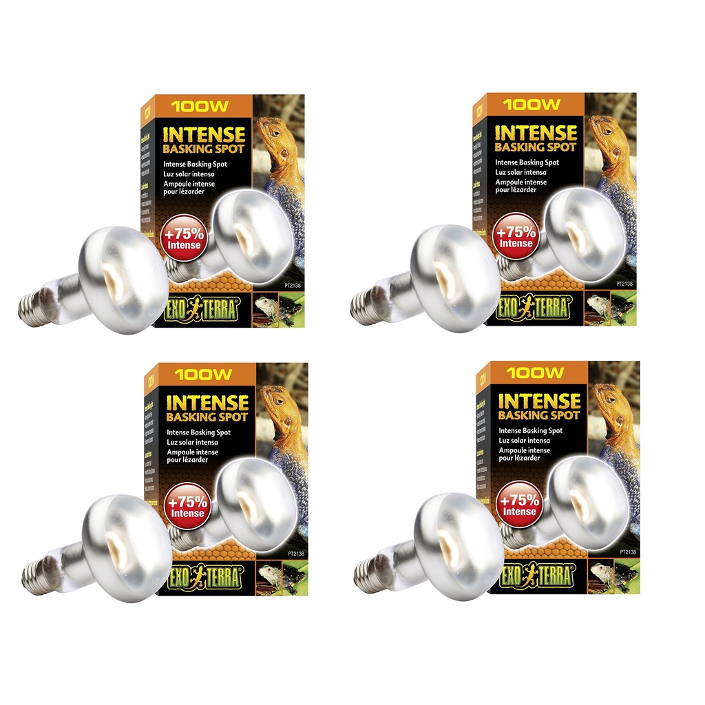 EXO TERRA SUN GLO TIGHT BEAM BASKING SPOT LAMP Shopee Malaysia