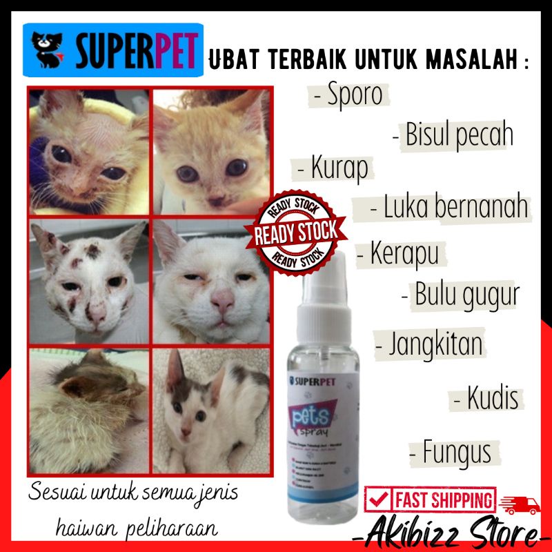 ubat luka kudis bernanah bisul kurap sporo fungus 🔥 spray haiwan kucing