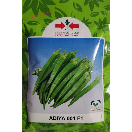 Benih Bendi Adiya 001 F1 East-West - ( 100g ) 👍 💯 | Shopee Malaysia