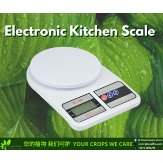 Dropship Digital Kitchen Scale 3000g/ 0.1g Small Jewelry Scale Food Scales  Digital Weight Gram And Oz Digital Gram Scale With LCD/ Tare to Sell Online  at a Lower Price