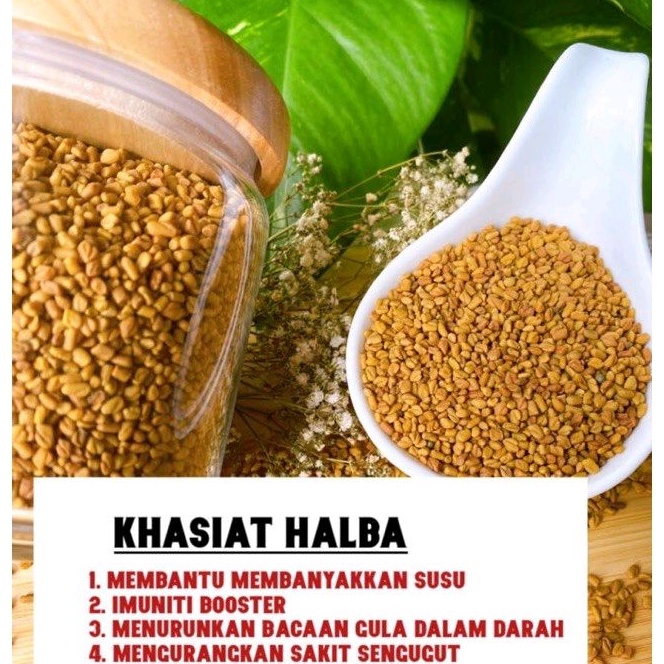 Halba Fenugreek Seed Milk Booster [100g 250g 500g] Shopee Malaysia