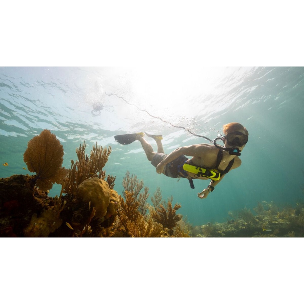 Sabah Kota Kinabalu Tankless boat diving (while exploring coral reef