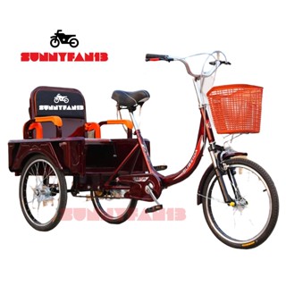 Three wheel bike sale with passenger seat