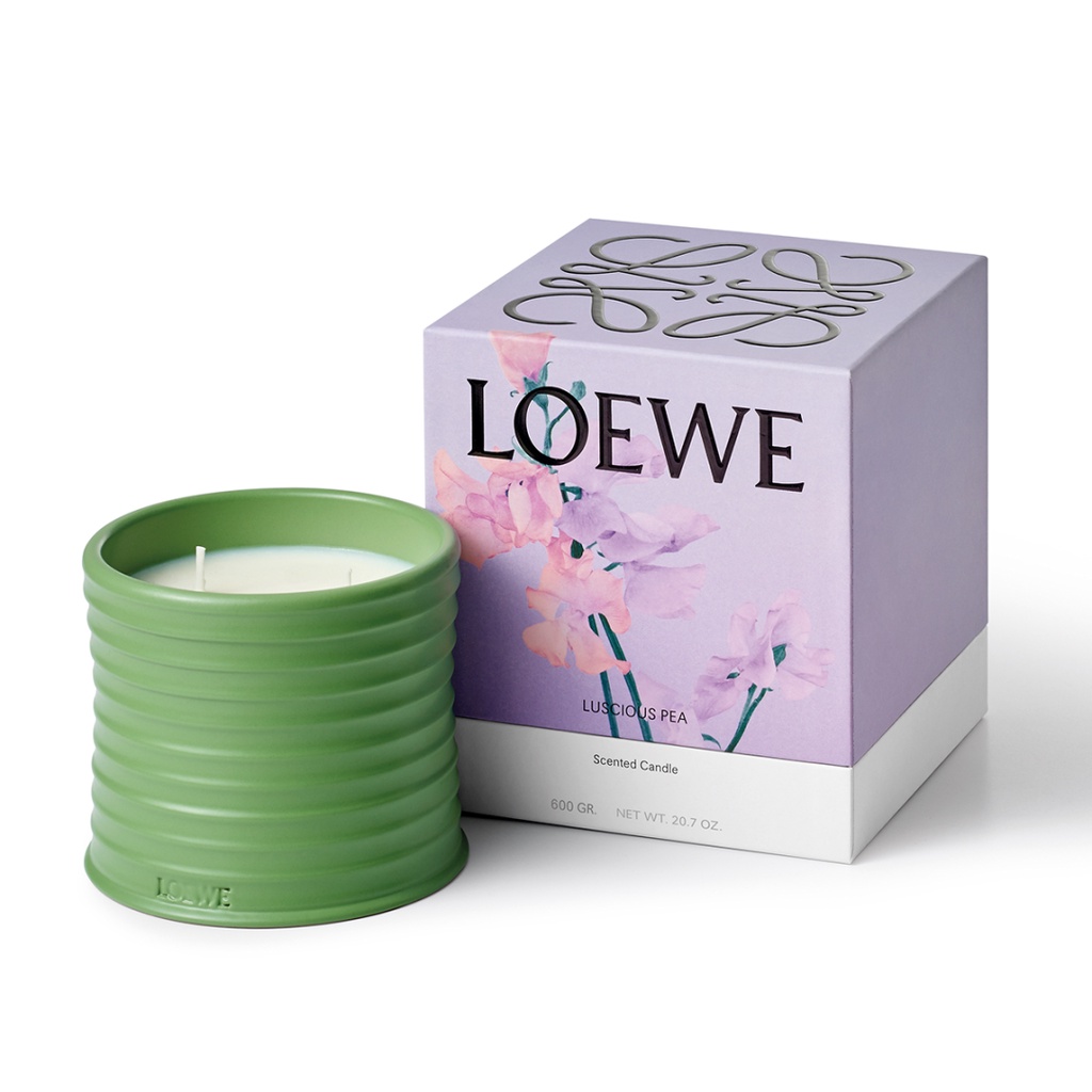 LOEWE Scented Candle 12 Fragrances - 170g | Shopee Malaysia