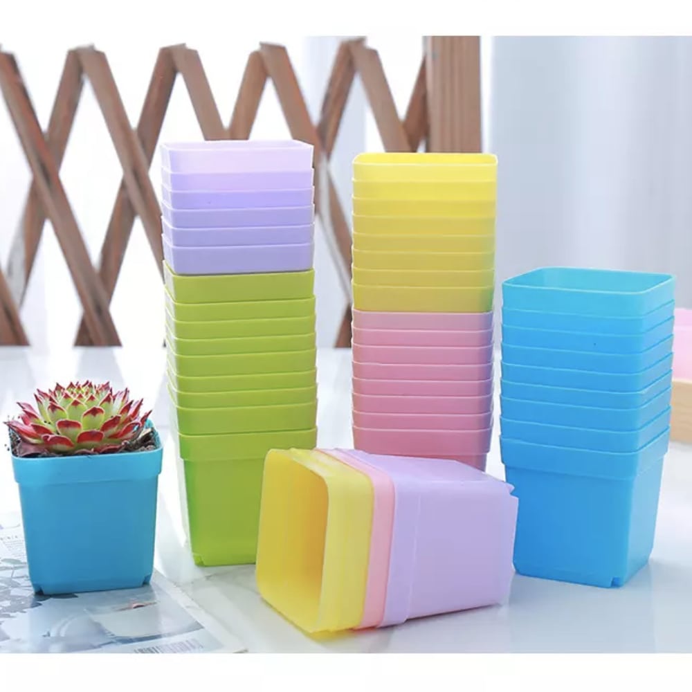 7cm Colourful Square Plastic Pot | Succulent Cactus Mini Pot | Flower ...