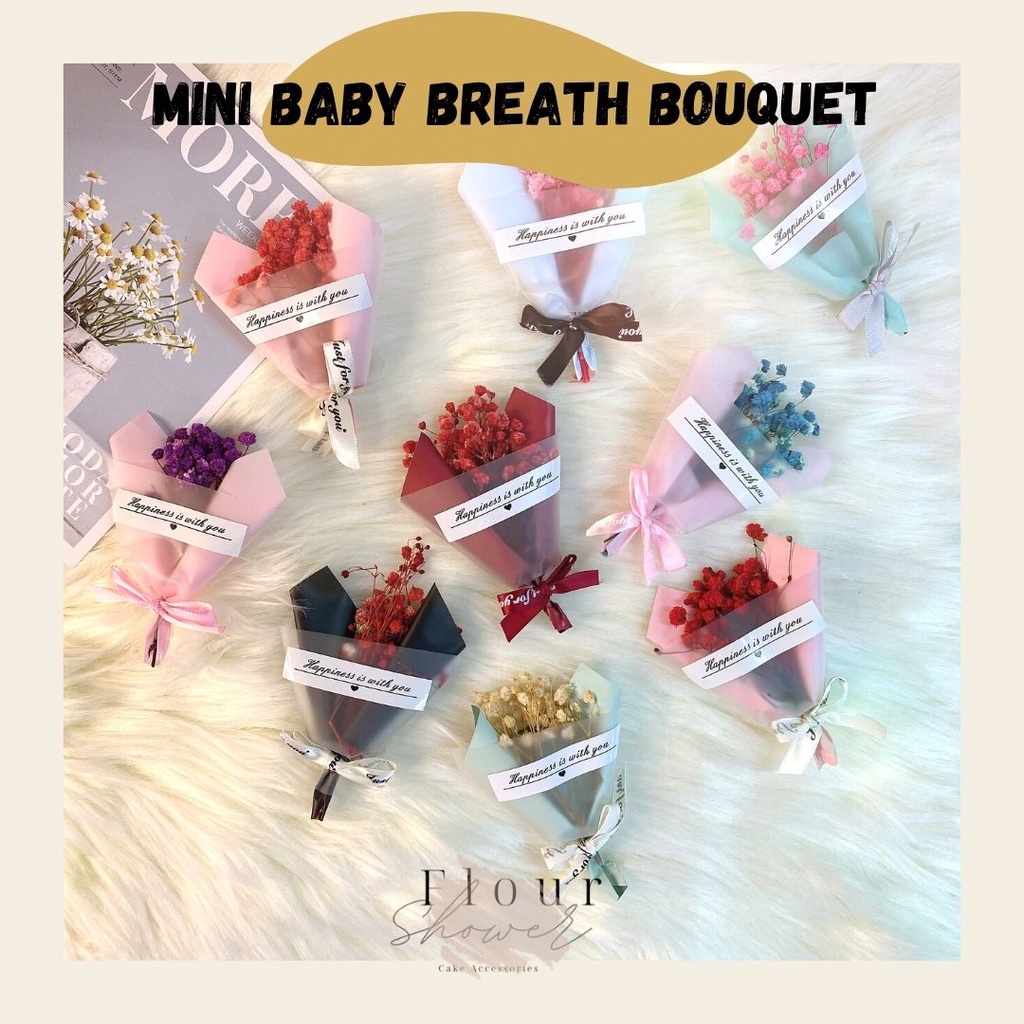 11cm Mini Baby Breath Dried Flower Bouquet Bunga Mini Gift Hadiah ...