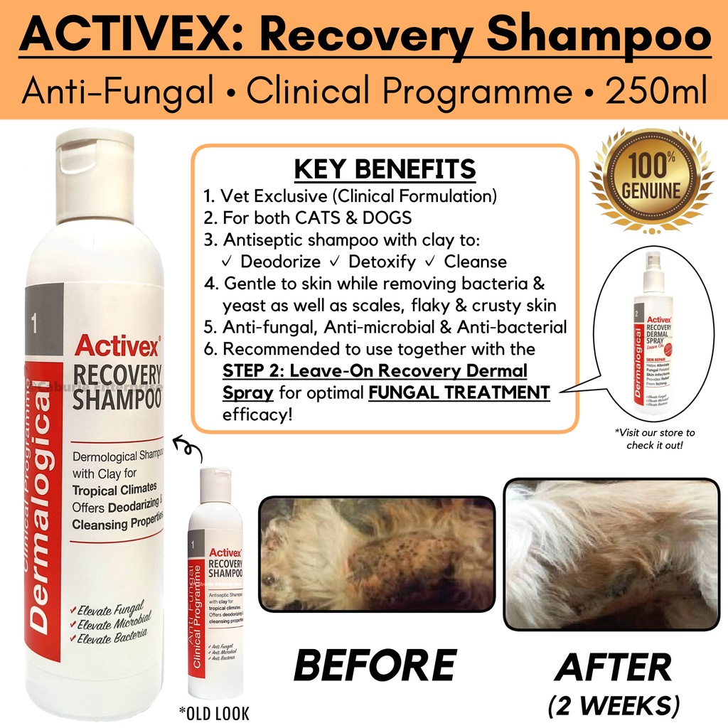 ACTIVEX Recovery Shampoo (250ml) AntiFungal Clinical Program for
