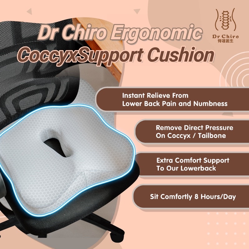 Cvs 2024 coccyx cushion