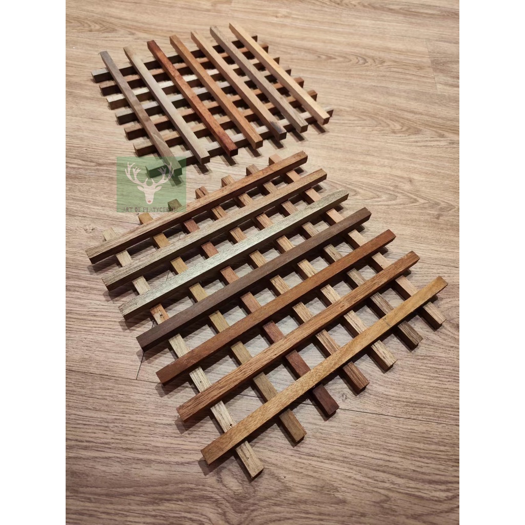 Platycerium Wood Mounting Board For Staghorn Ferns Orchids Tanduk Rusa