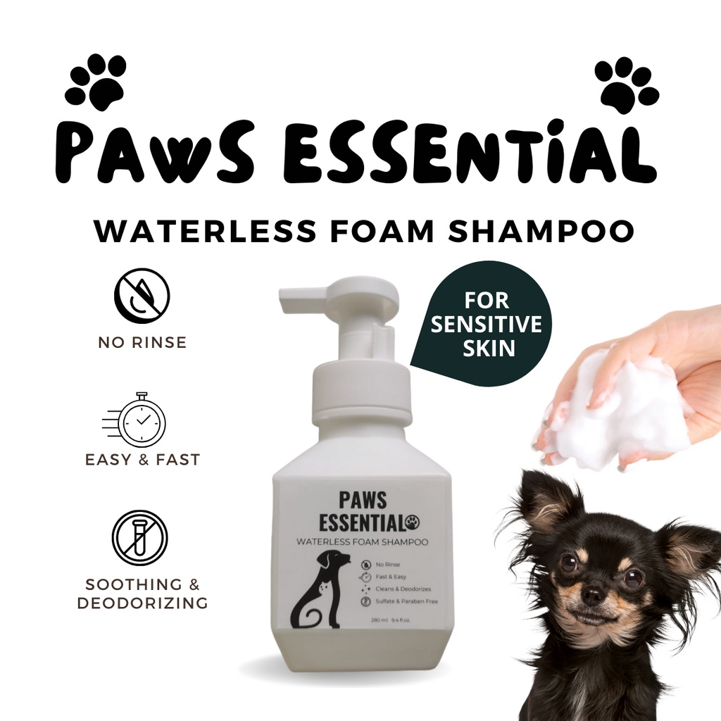 Paws Essential Waterless NoRinse Foam Dog Shampoo for Dry Clean