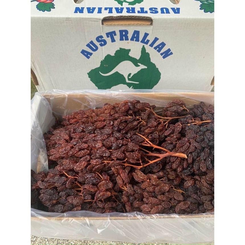 Raisins Whole Branches Australia (Box Of 500 Grams) Shopee Malaysia