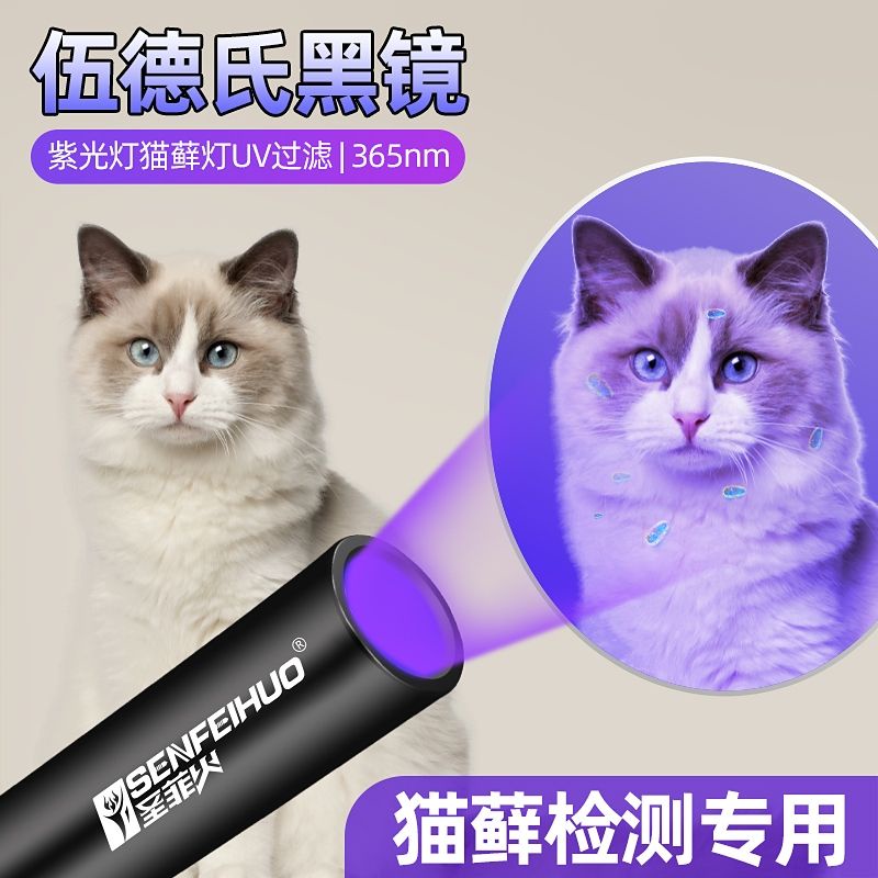 UV Light illuminates cat moss cat urine detection fluorescent
