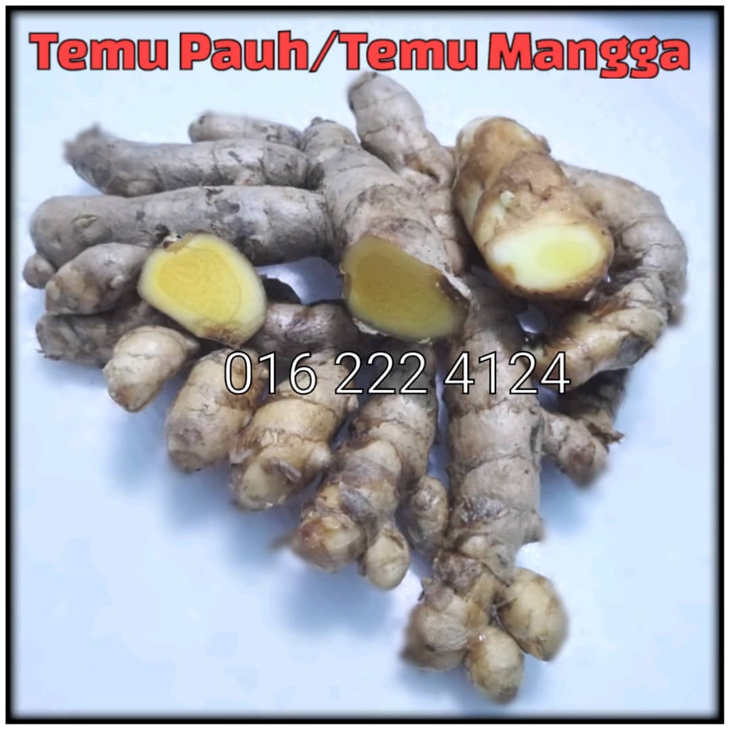 Buy temu Online With Best Price, Jul 2026 | Shopee Malaysia