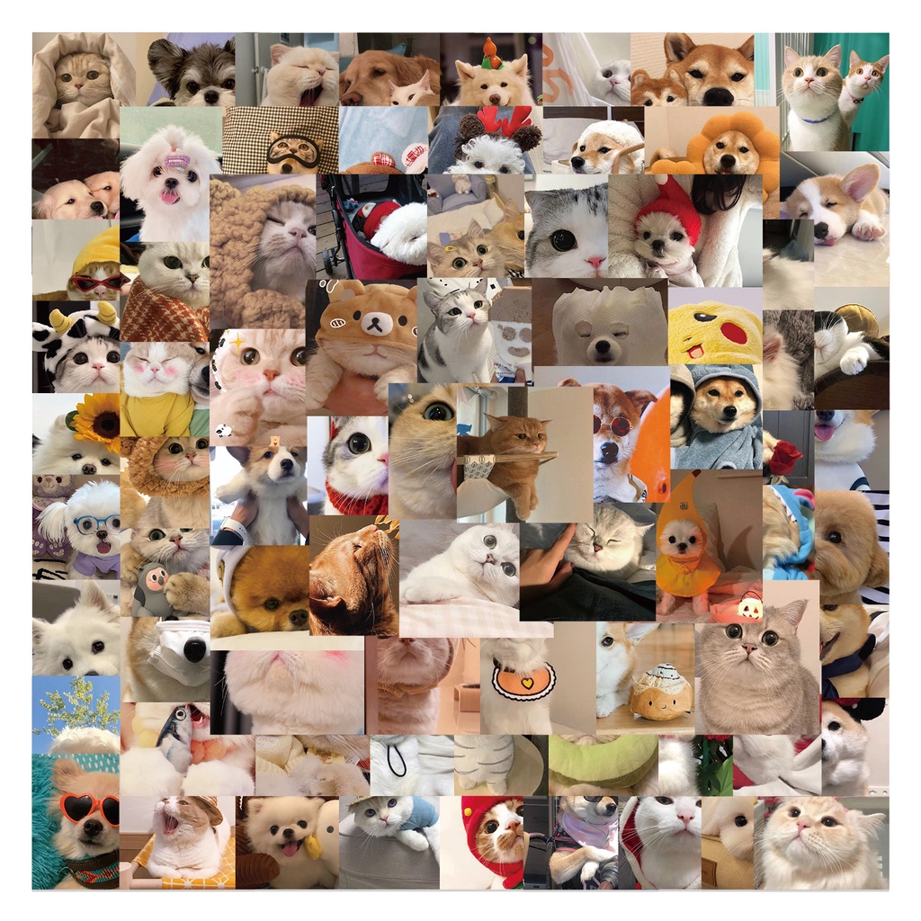 100/50PCS Kawaii Cat Dog Meme Stickers Decal For Suitcase Water Bottle ...