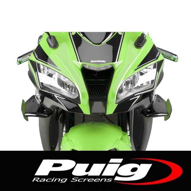 Puig 2024 winglets zx10r